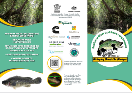 Cod Recovery Project Brochure 3